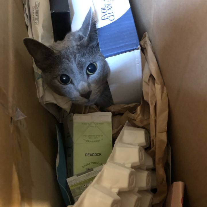 242064e1 8234 4033 8e2f 379d1a664c2b 1571184549558