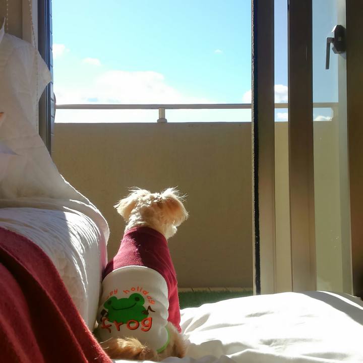 2420a979 57b8 4ad8 9b62 5c7760d6d7bd 1546135846646