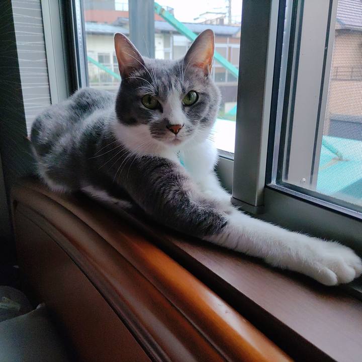 2420e743 988f 4313 bf26 d72a2fe672e9 1660726141791