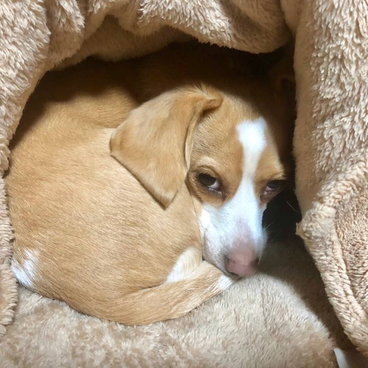 242123d3 c41b 4dd3 a80a 6cfe7423a86f 1551340833278