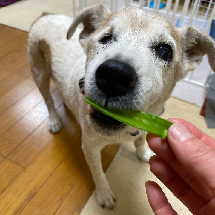 242137a1 06c1 41f5 b32f fa5bd72790bc 1712489515752