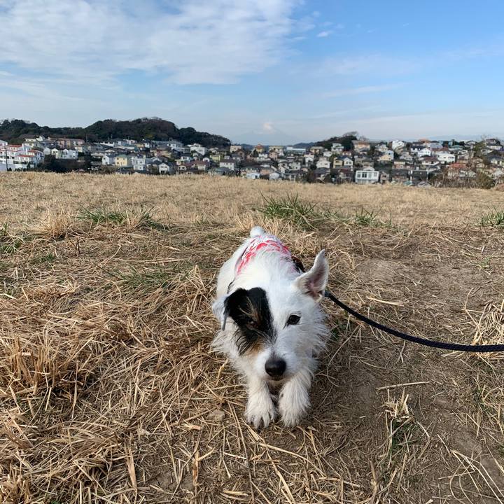 242139bb 5ffe 4edc abdd e08d621db45b 1675733932096