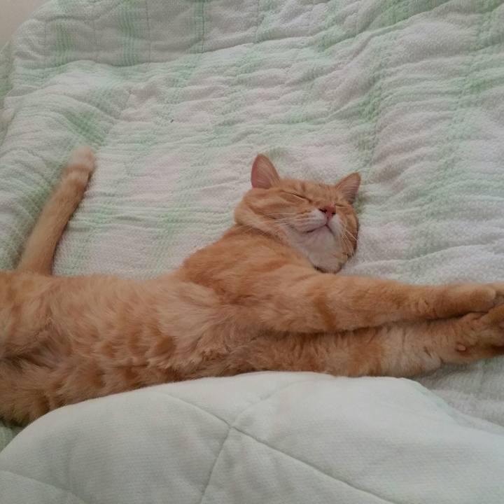 24216684 68b7 4919 9c4b 7971fd151356 1567308405891