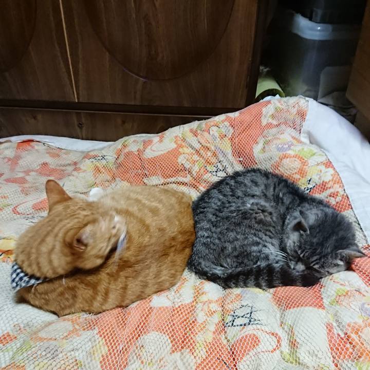 242187a5 40d2 44f5 852b b69bd0c60bfc 1572350057806