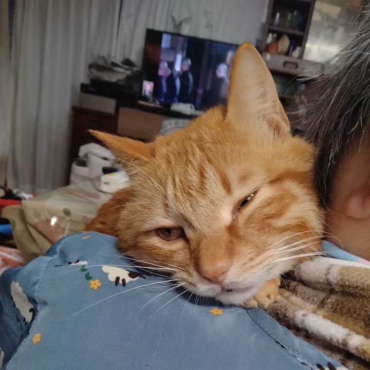 24219a26 e907 4b6f b262 374516efade6 1742023938409