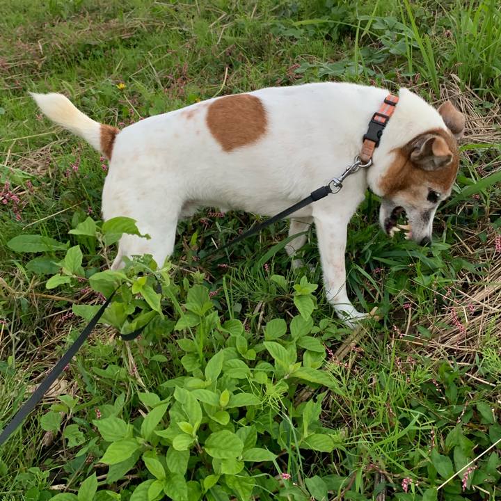 24219d9d 6d39 4c80 a967 13fed90f923e 1603019905429