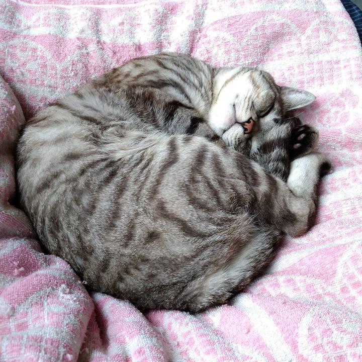 2421c5ad 6bcb 438d 95d0 b0e3ba15c50e 1620189691348