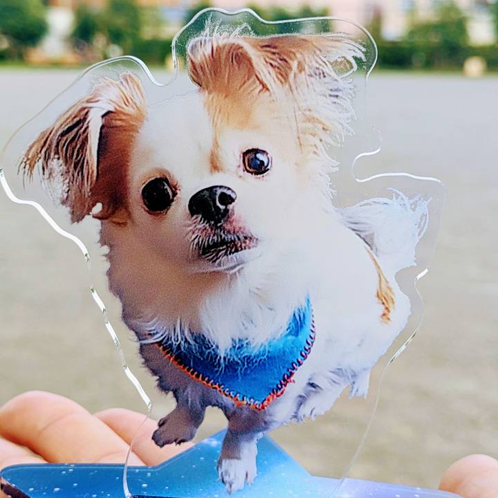 2421c886 3651 4ef9 b7e2 0641588038fc 1688631280494