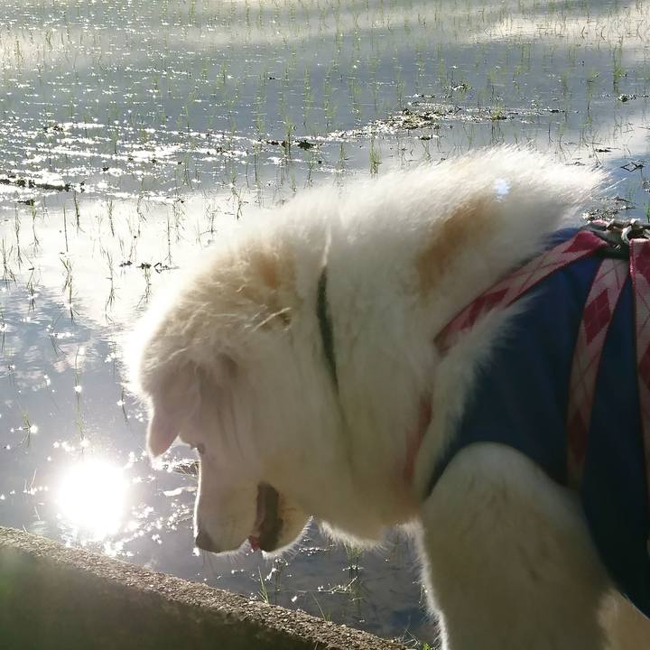 2421dcca 4b4b 42bb 8ad9 83c6cb6bc394 1526766920467