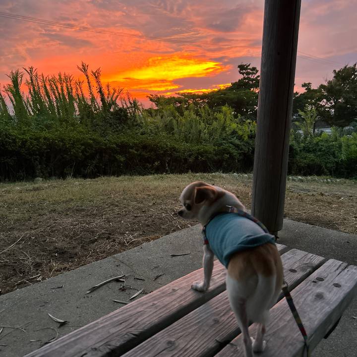 2421e888 b4bc 447e 93ff 0de4817a9474 1760258107508