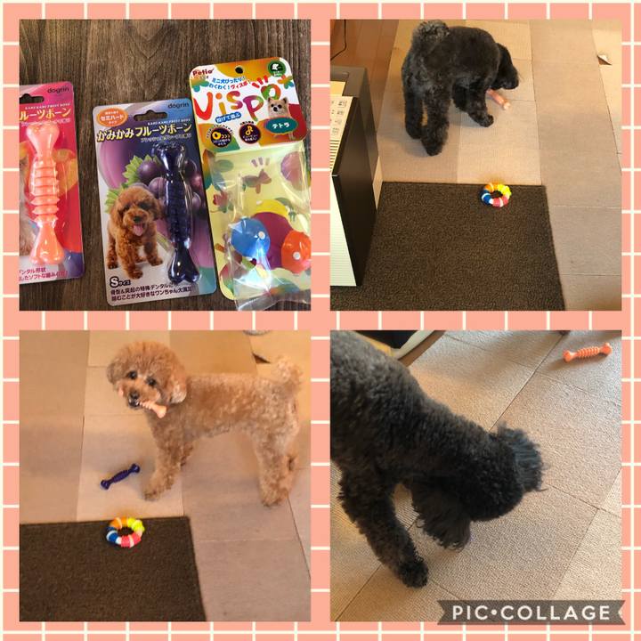 24223322 f3a1 4f0a 9705 a0262eb0ad1d 1610425357802