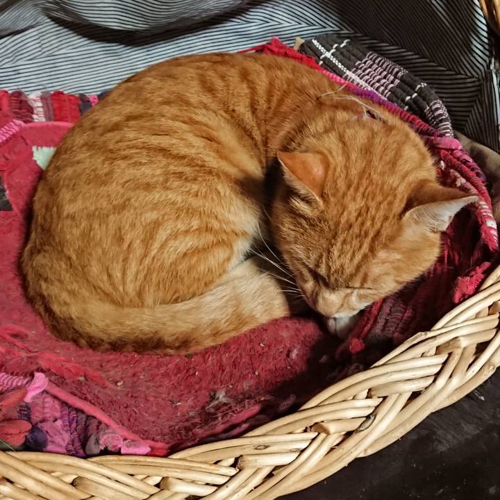 242251e0 7a05 4f37 b649 fec68d50ae13 1568288896527