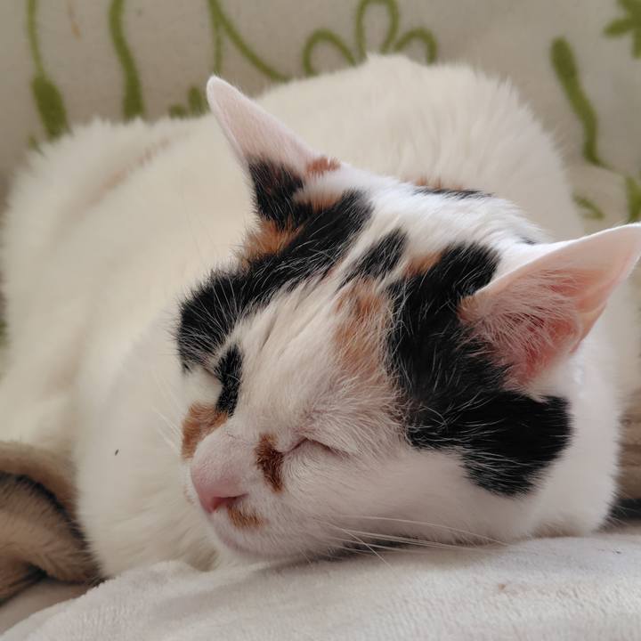 24229648 b6c9 4506 b071 3154c7d6af4e 1773619530739