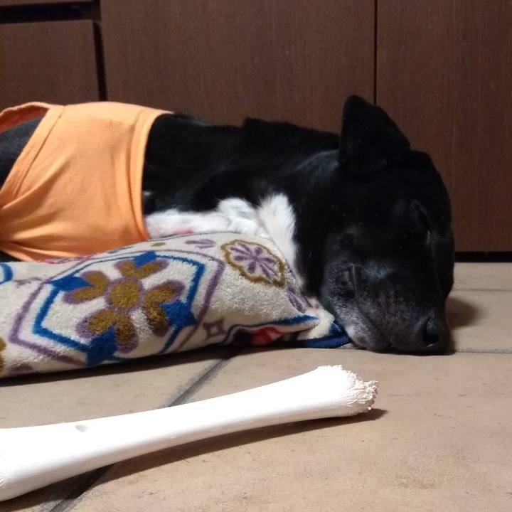 24229eb6 31b3 49b5 a84b e7b621f80722 1614263484340