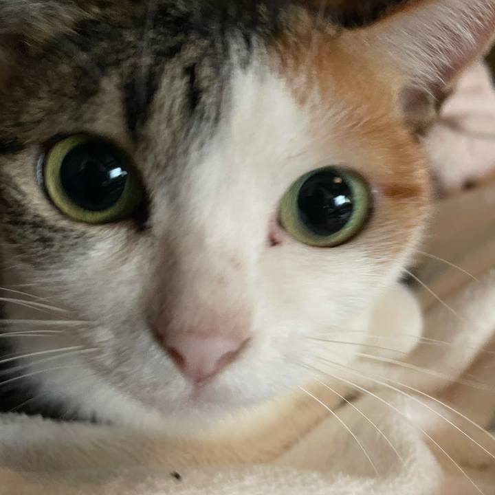 2422cc1a 6b22 4c37 97cc 433f19d7424b 1635653803154