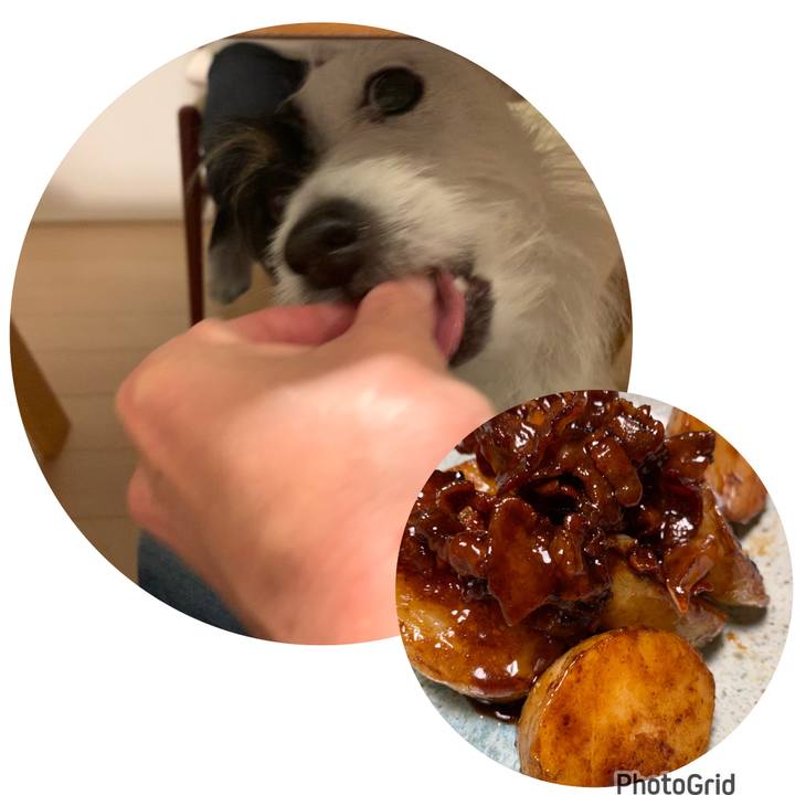 2422e08e fdb3 4d5c b5a6 dd3c816dcd2c 1681298097189