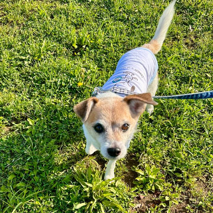 24230da0 8e4f 4564 8c6a 1a3bf277e094 1684277448375