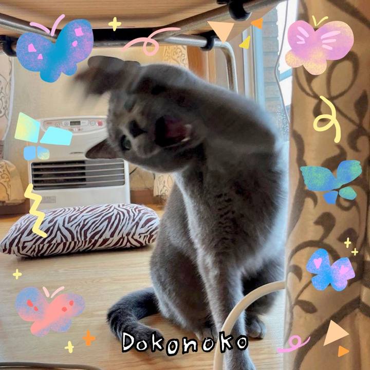 24233409 76c2 46e3 a907 0e86a2ba1790 1711029823341