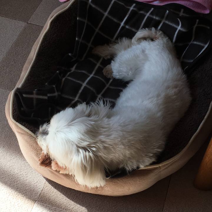 24235a90 11c2 4295 b90e 1b22c37ac3bd 1613534877924