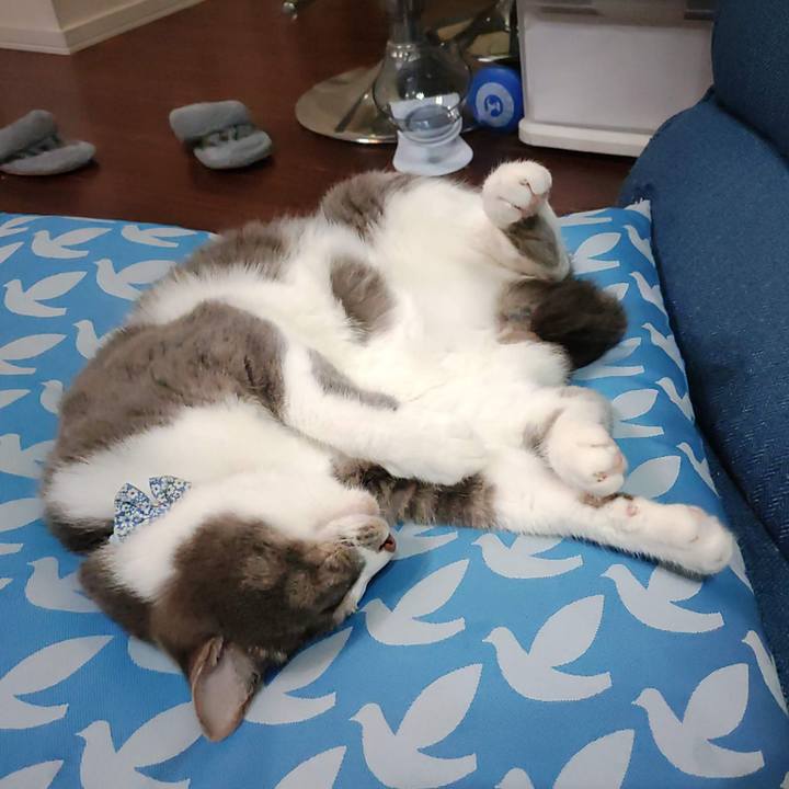 2423714e b9b4 4aa3 8e4a a740e7518c9f 1752333236345