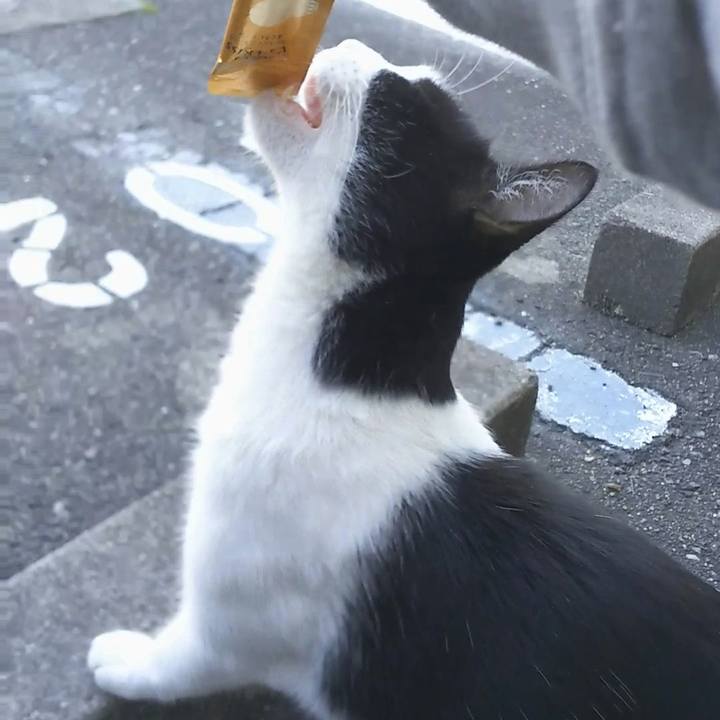 24238e6f 3d18 43a5 b2c7 6d2138041010 1541570686647