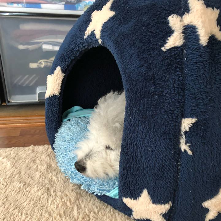 2423a202 b496 4d5c 9902 037ebddd6e4b 1624746811772