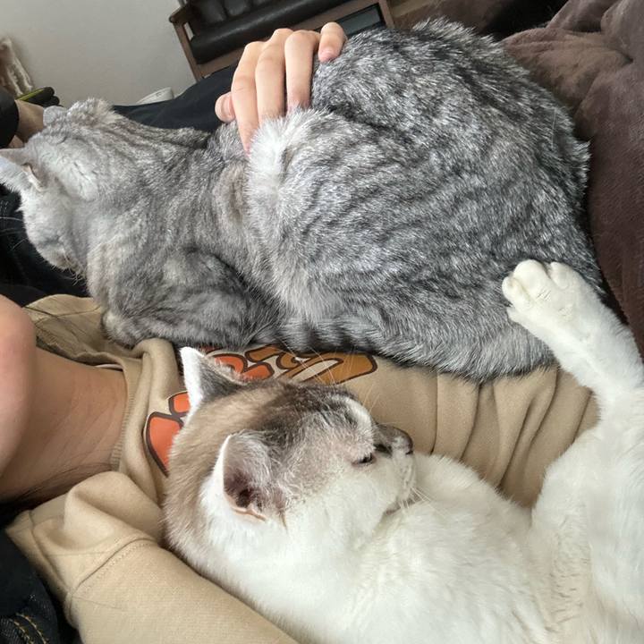 2423d8eb 3a83 4c9f 9ff5 f82eee92444b 1769907610732