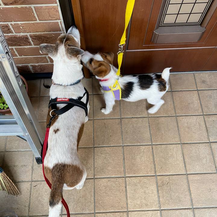 2423e04c 2650 425b ac1c 1da68b62e031 1613433783955