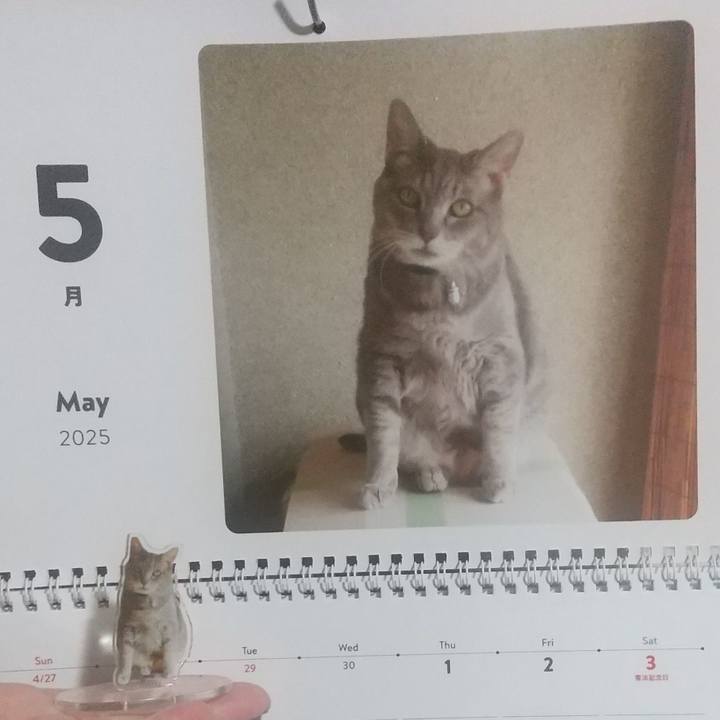 2423e4a6 e251 4260 9f00 b7b974517b03 1746052886290