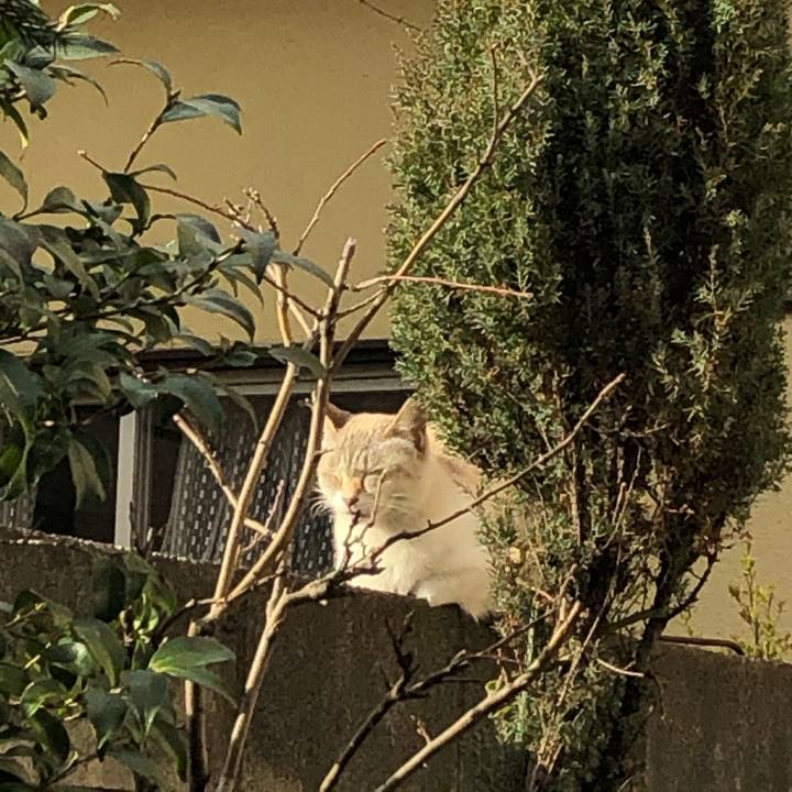 2423e64f 8100 49c5 a763 0b6d3e4809a7 1617082917234