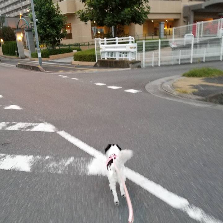 24242f84 71a4 4b01 ad0b 443bc0709edf 1602713795090