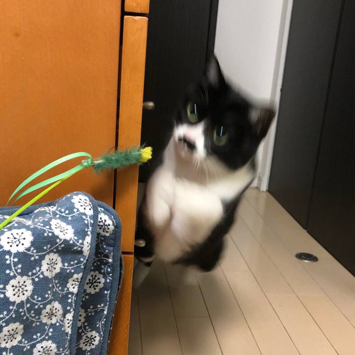 2424348d b7b6 4e8b b7ee 838467c6e2c3 1515598153179