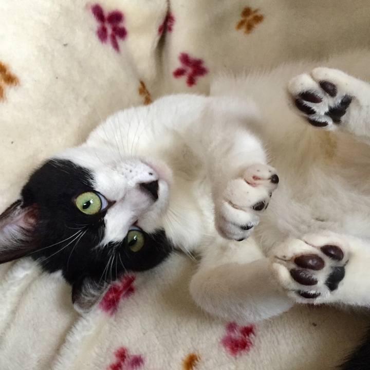 24243e1c 82cc 430e af8d 6563ef76e66e 1584175211752