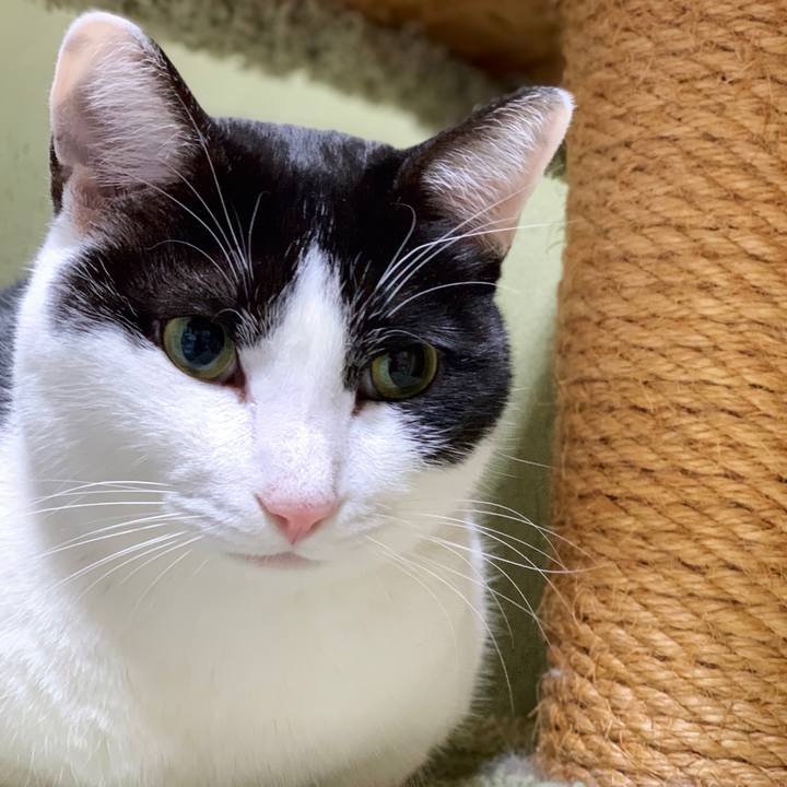 2424425b 8929 4483 9807 7204f1c50287 1549072776811