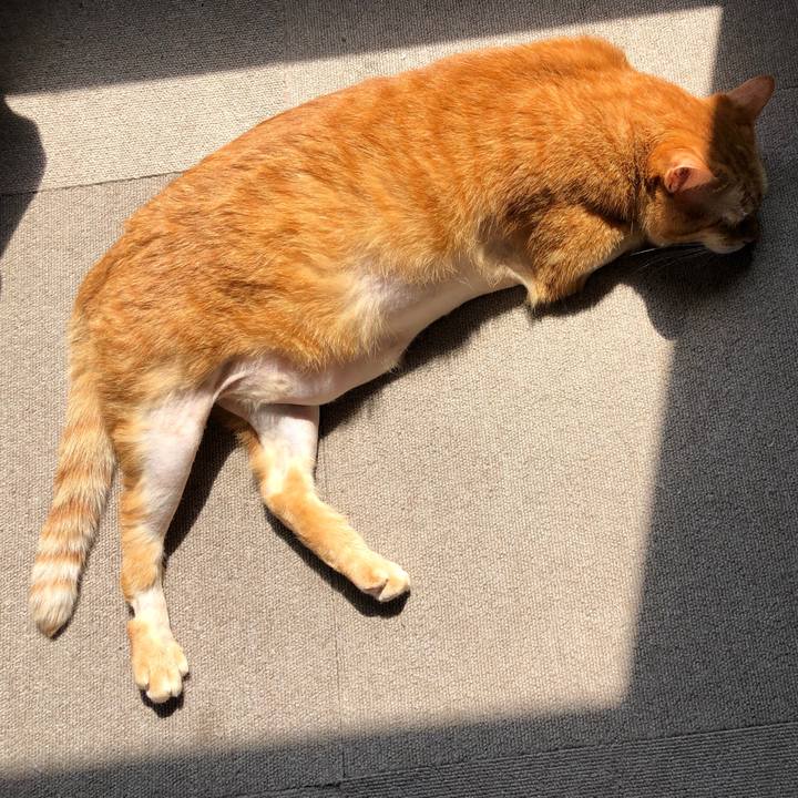 242453a5 a782 4ab7 9f6e b3374f3d8519 1688257702050