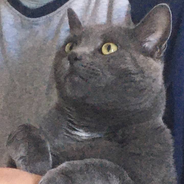 24245f4e d133 4f6f ae8e 24e4f215d1cd 1619222921719