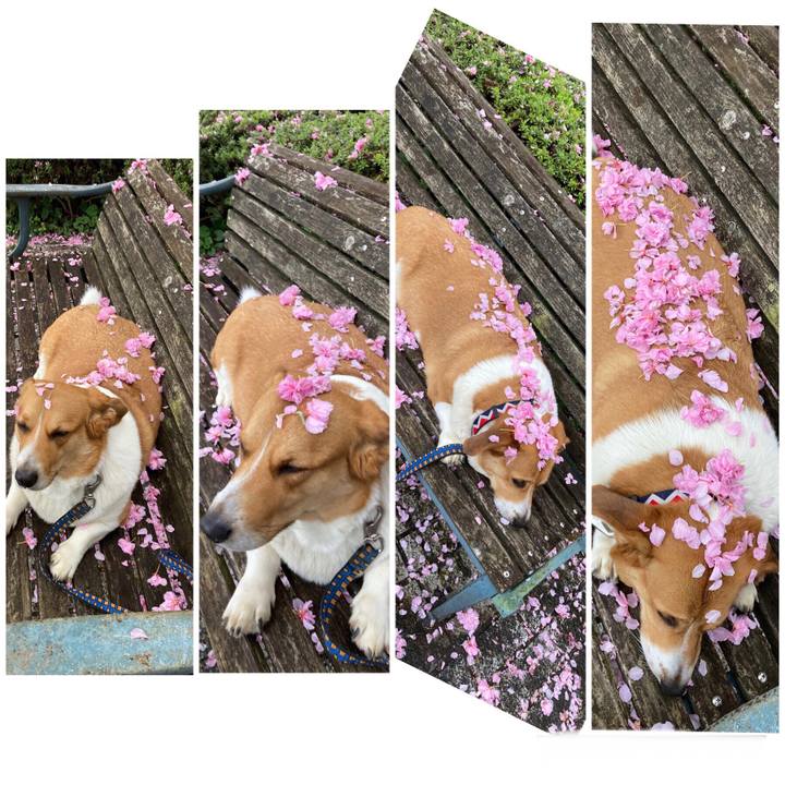 242467b9 ab70 4dc8 b0ea 3f895cb028fb 1650270848624