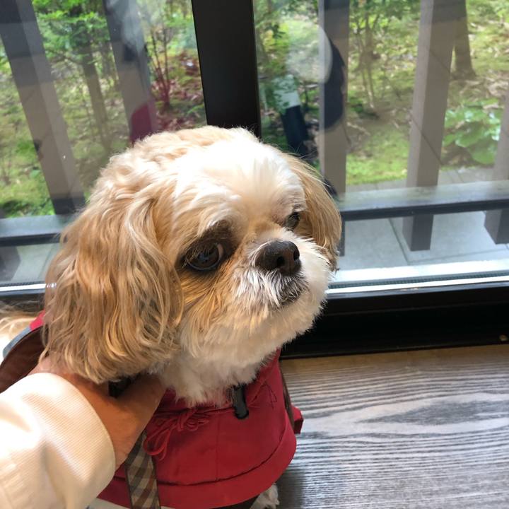 242491bc c44d 4edf a214 1528a1de82f5 1537825152334