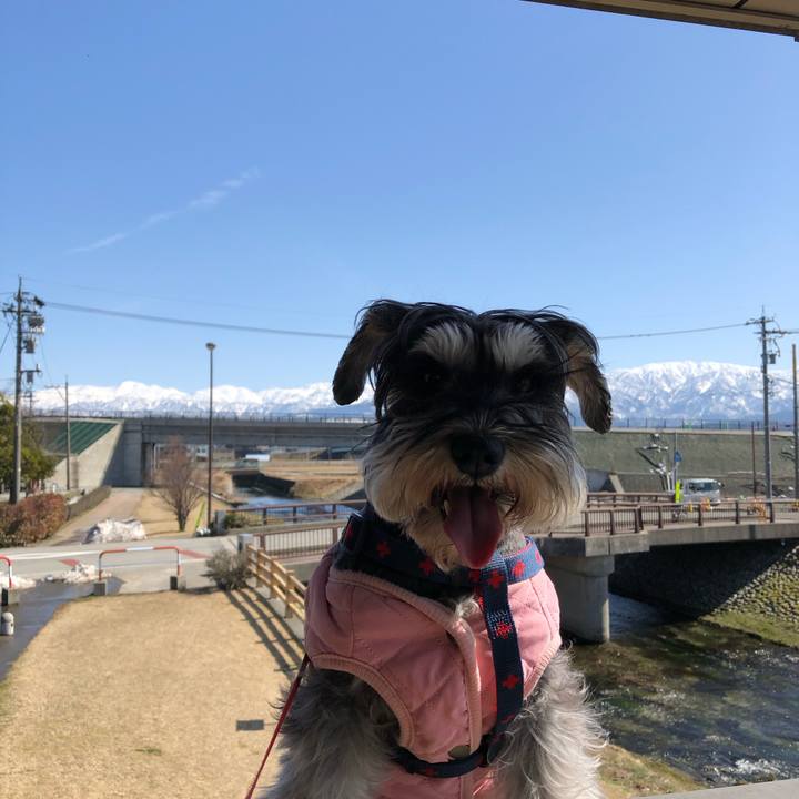 2424c748 3298 4df2 8873 a564691ebcbf 1614505972214