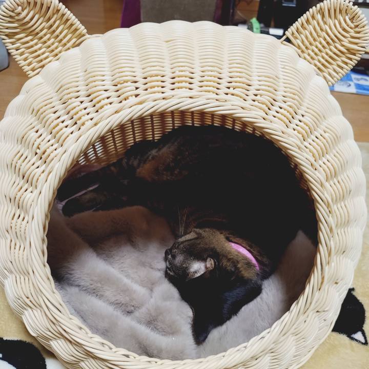 2424d281 e81e 41d1 bb6b 72a158238c24 1775397659672