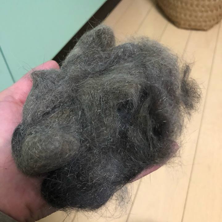 24251004 0727 4bfe 83ef 66d8fa9fff1b 1522683718024