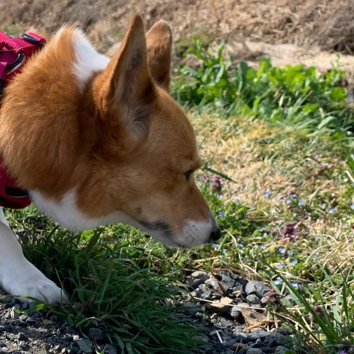 24251eba 8817 4935 b6ea 2bed754c2665 1615263886170