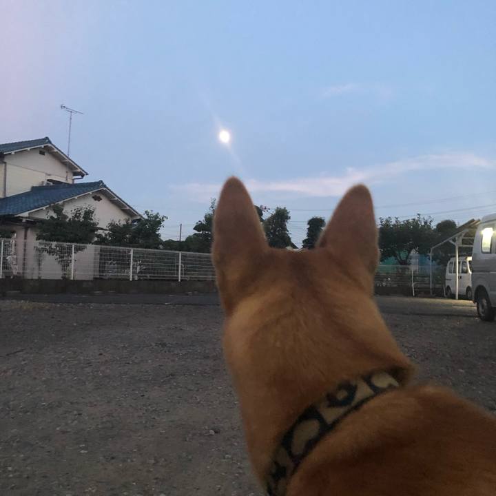 242525cf 1d33 4bf5 b5d4 cb914dc378a2 1565739132695