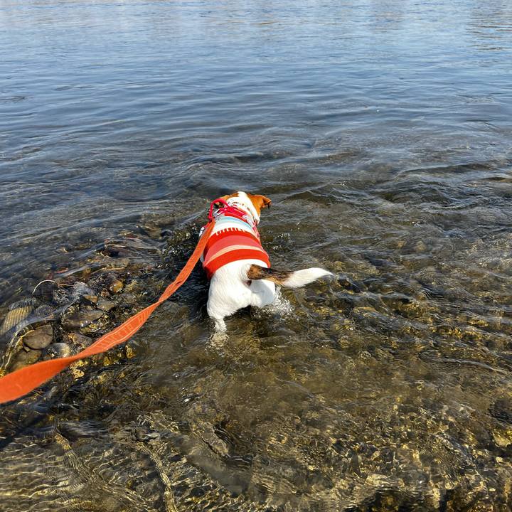 242540b9 5edd 4fc7 8d91 0fc699c25ec7 1742960314628