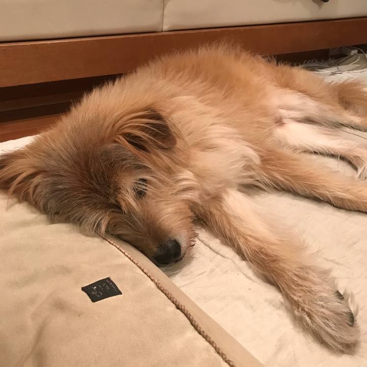 242540d7 d435 451b 9ed4 0f018eafcc82 1542541881494