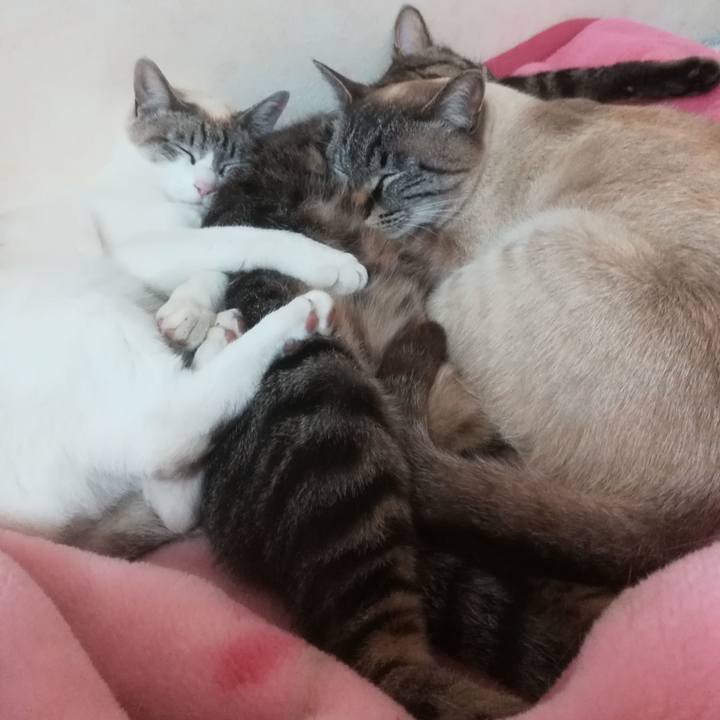 24254acc fd66 4191 95e8 b0ca3f765a97 1524225425310