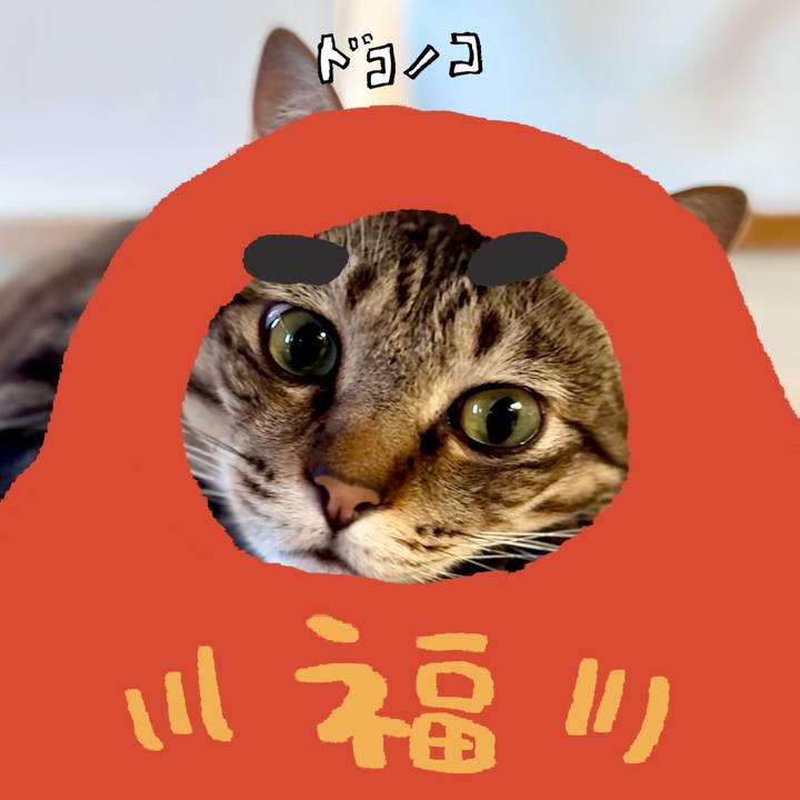 24255d55 948d 47cd b82a 4477085c4d3b 1772495188518