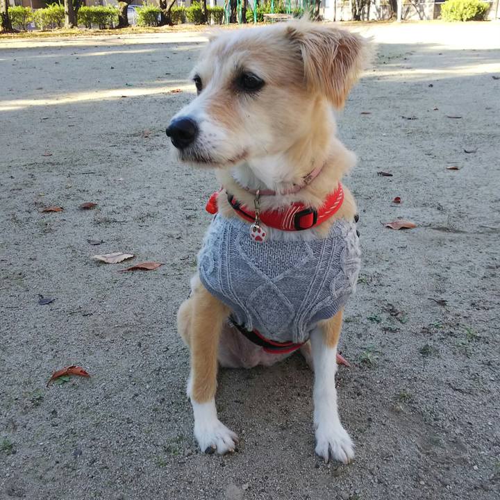 24256707 f21b 4b0e 9aeb 2f55da1131cc 1542260490449