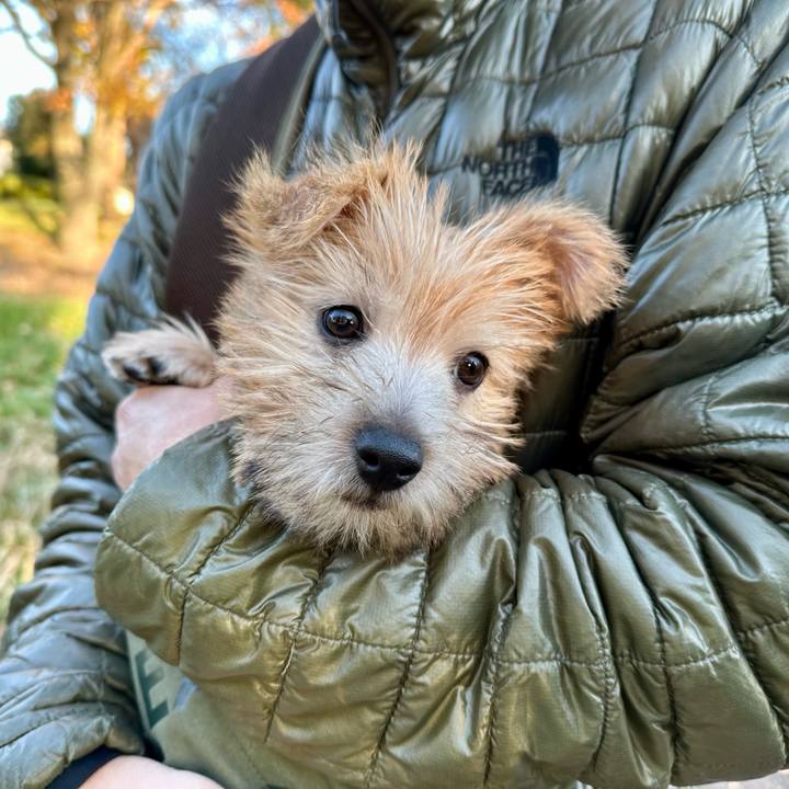 24256dbf 3995 4b2d 9251 b1164759be5c 1701548753011