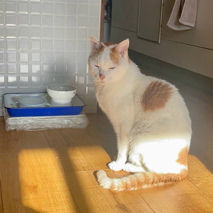 24258113 64f1 402b b250 cd6cd23d9bbf 1737852180496